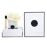 Herve Gambs Rose Gift Set White