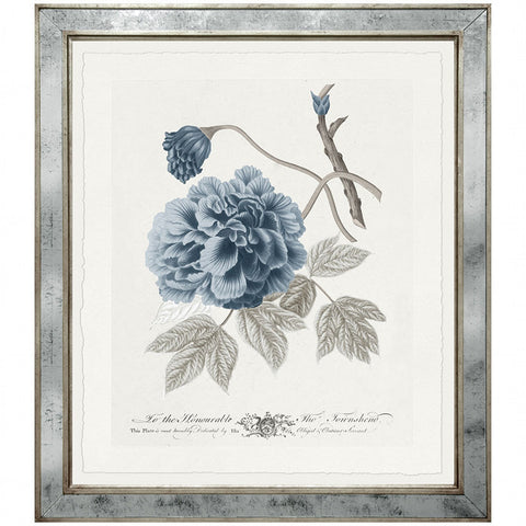 Imperial Flowers Blue & Grey- Print 5