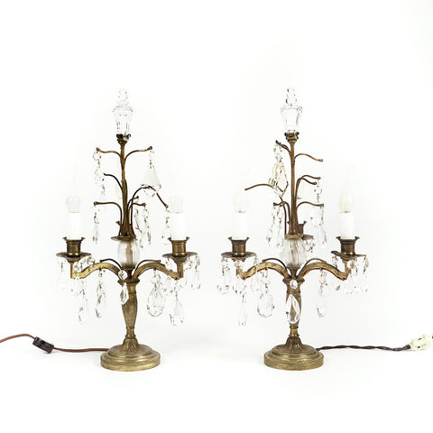 Pair of Electrified Candelabra