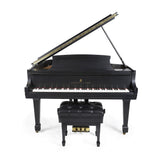 Steinway Piano